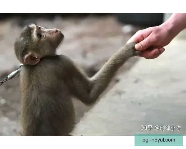 越南博主称中国队全场怪兽奔跑