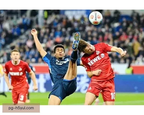 伊尔泽期待霍芬海姆更安宁周边